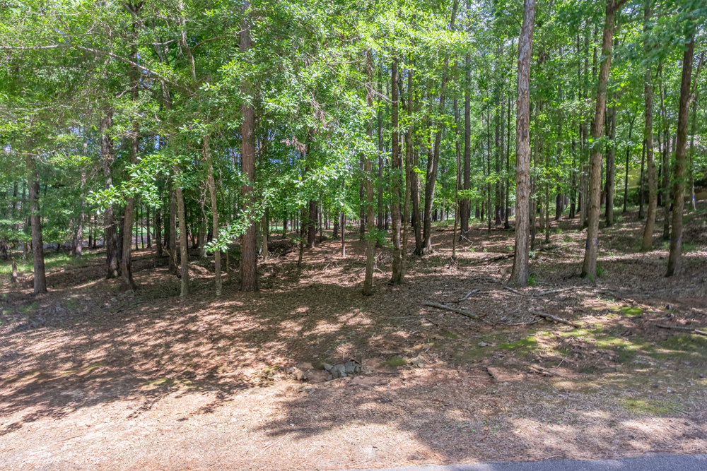 2721 Parrott's Pointe Road image 3